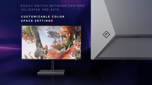 HP Z25xs G3 QHD USB-C DreamColor 
