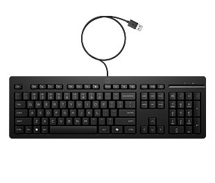 HP 125 Wired Keyboard (English) (AY2Y7AA#UUF)