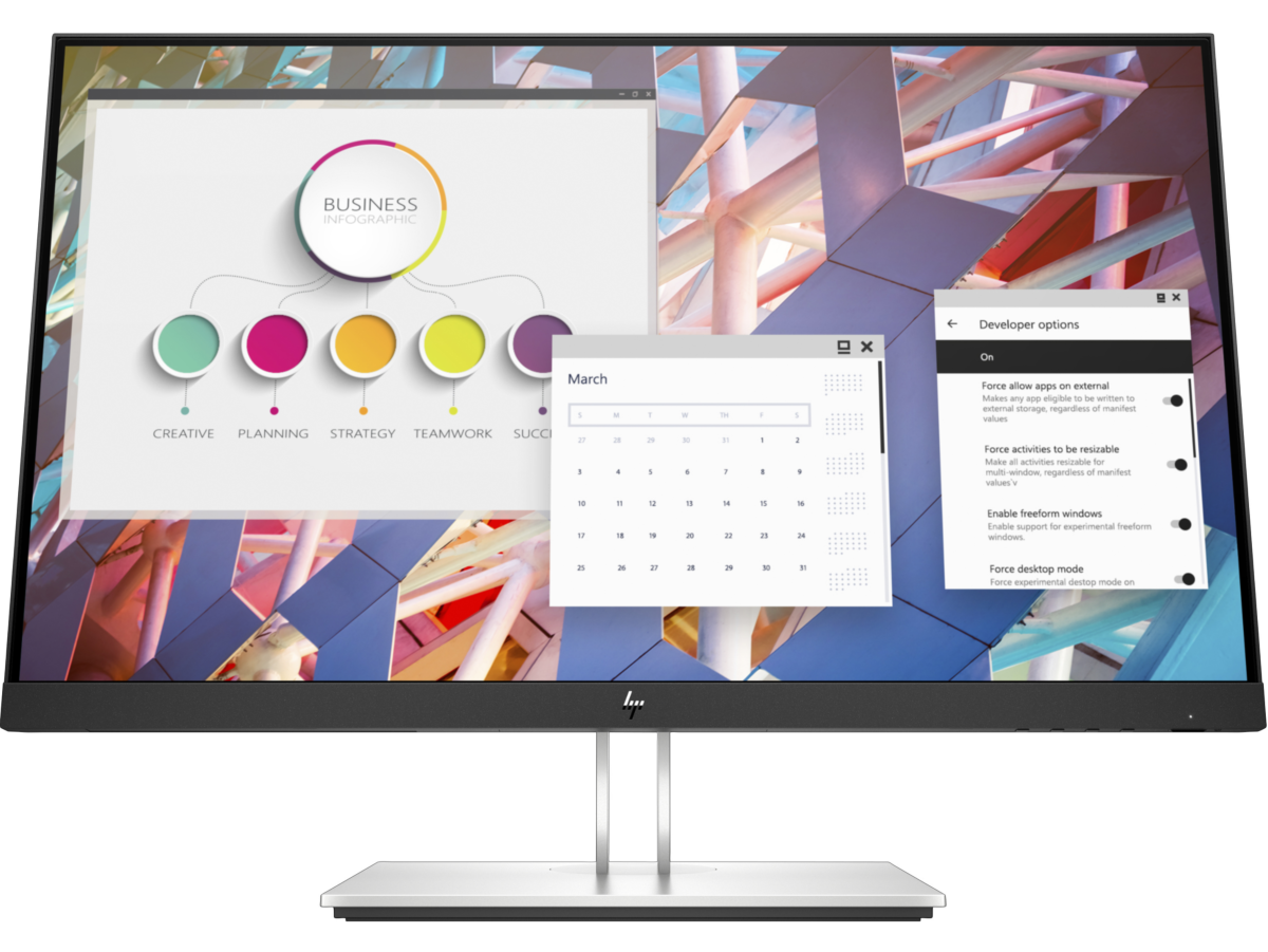 HP E24 G4 FHD Monitor