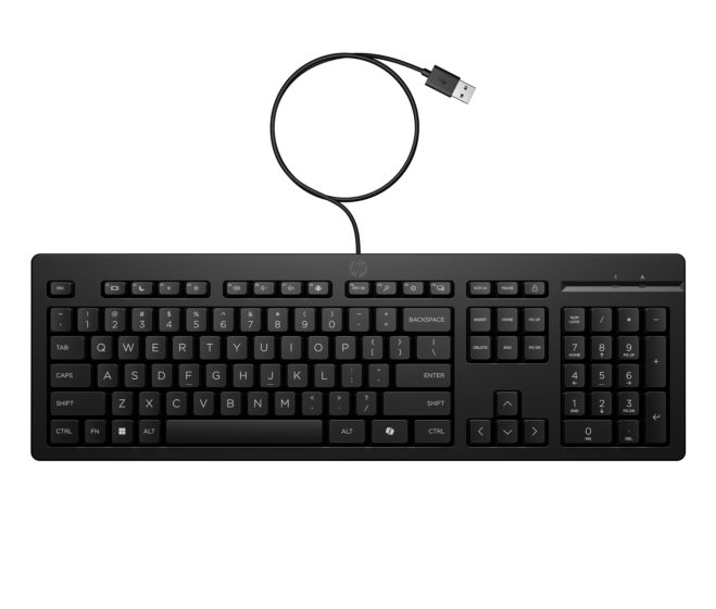 HP 125 Wired Keyboard (Chinese) (AY2Y7AA#AB0)